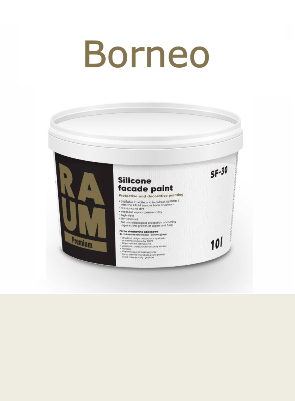 7 Borneo.png