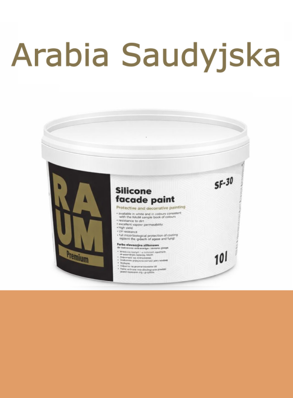 138 Arabia Saudyjska.png