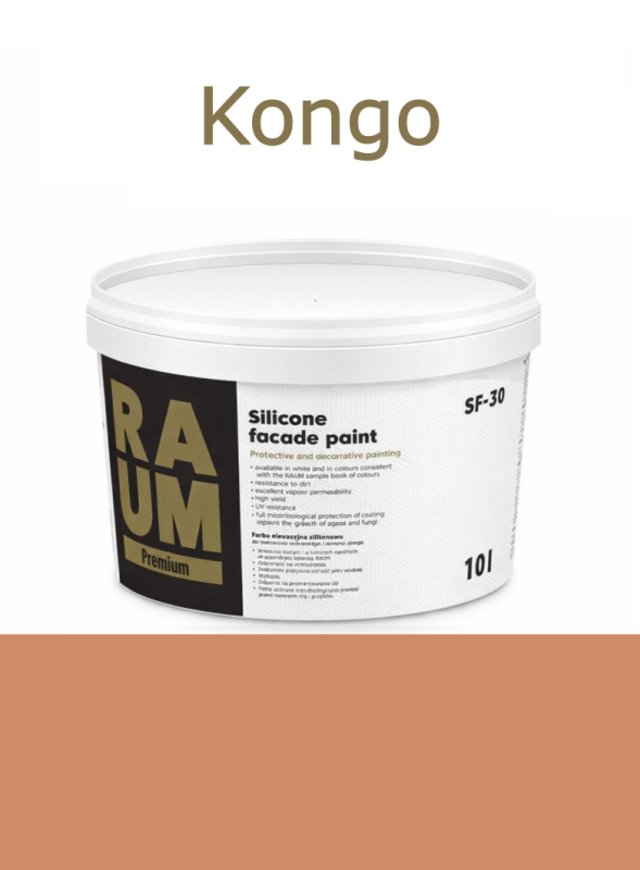 140 Kongo.png