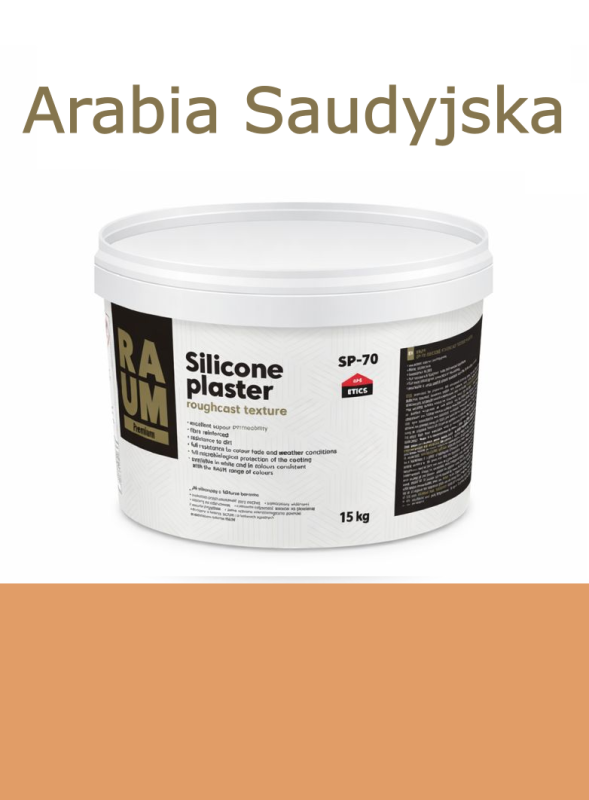 138 Arabia Saudyjska.png